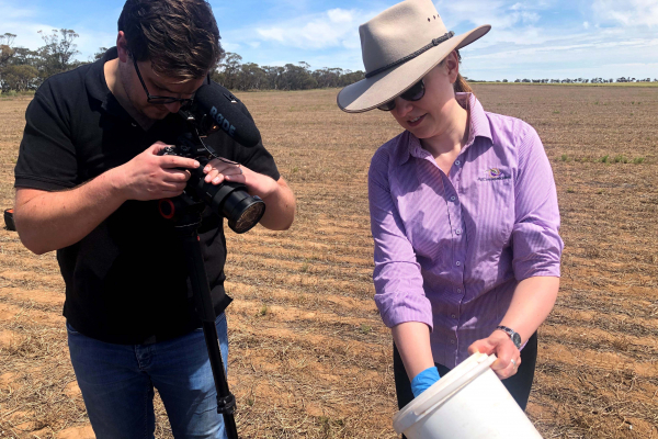 AgCommunicators Videographer Daniel Koulouris filming a crop nutrition video with a Queensland grower.